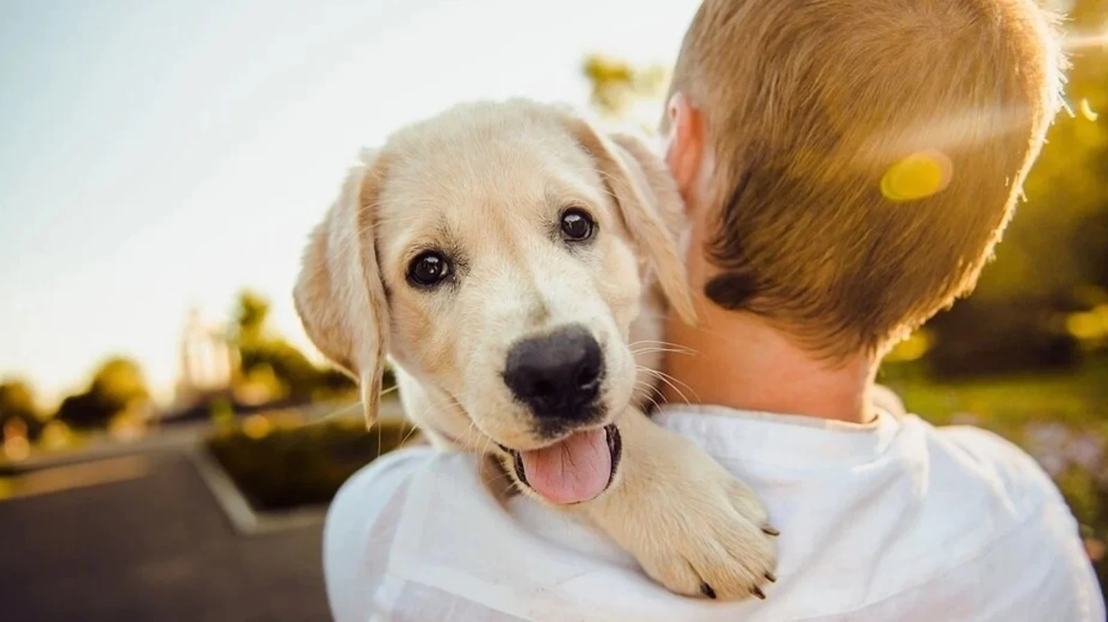 Maintaining your Dog’s Health and Happiness