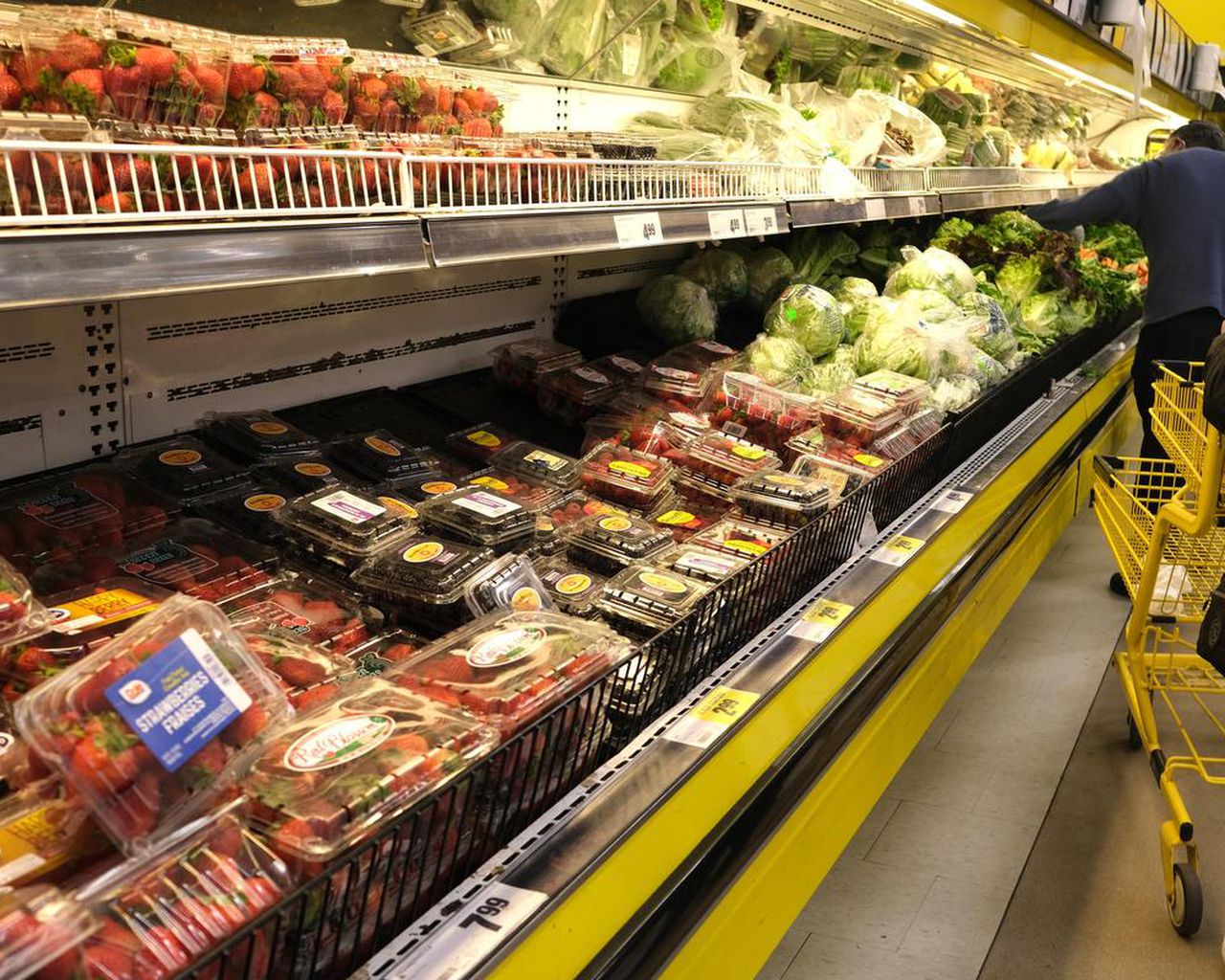 Navigating Canada’s Inflation Rate: A Closer Look at the Rising Food Prices