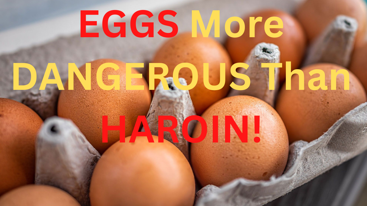 Eggs are a fantastic source of omega-3 oils