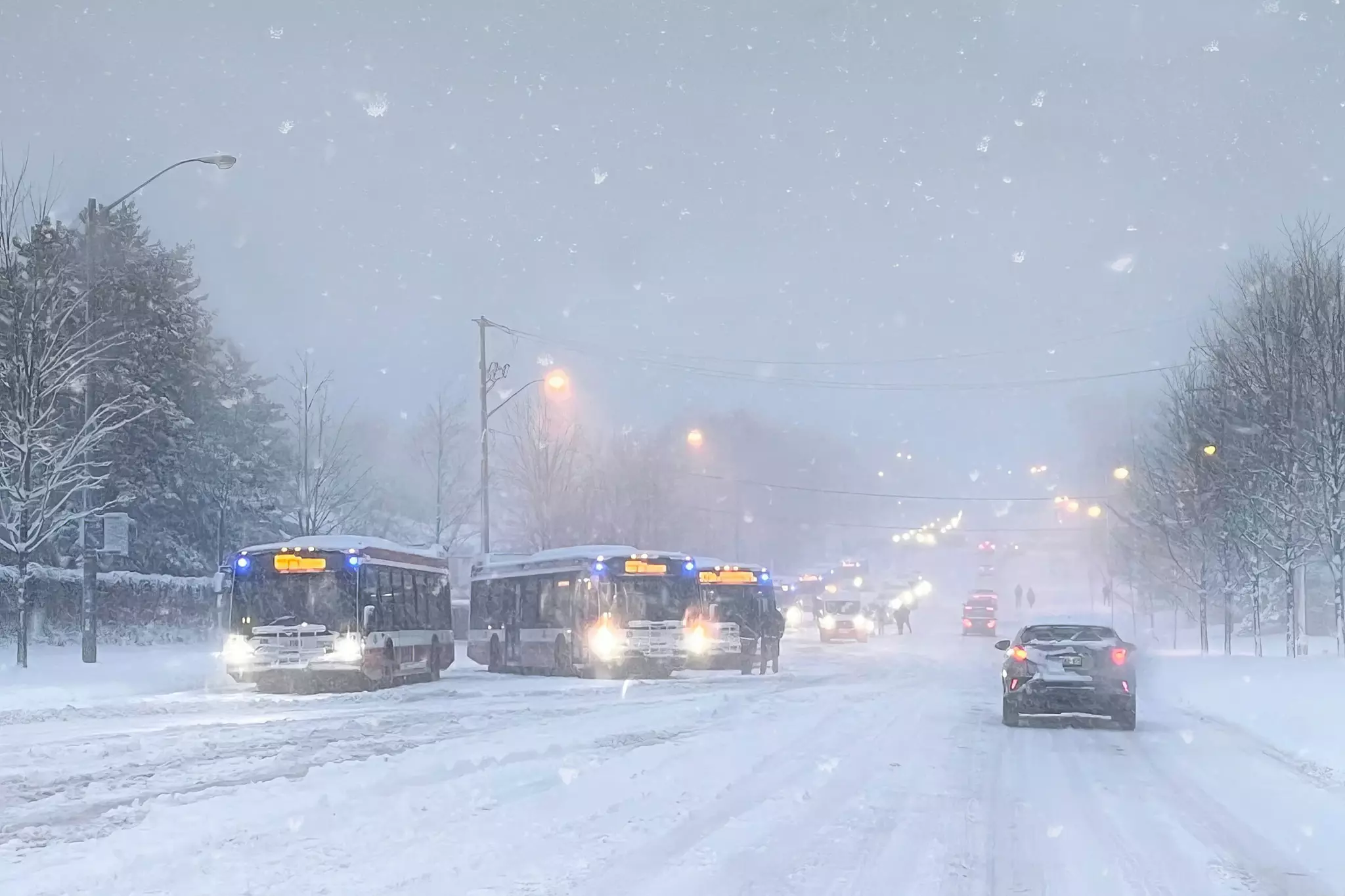 Winter Storm Warning for Toronto: Up to 15 cm of Precipitation Expected