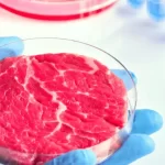 Proposed law that would prohibit the production of lab-grown beef