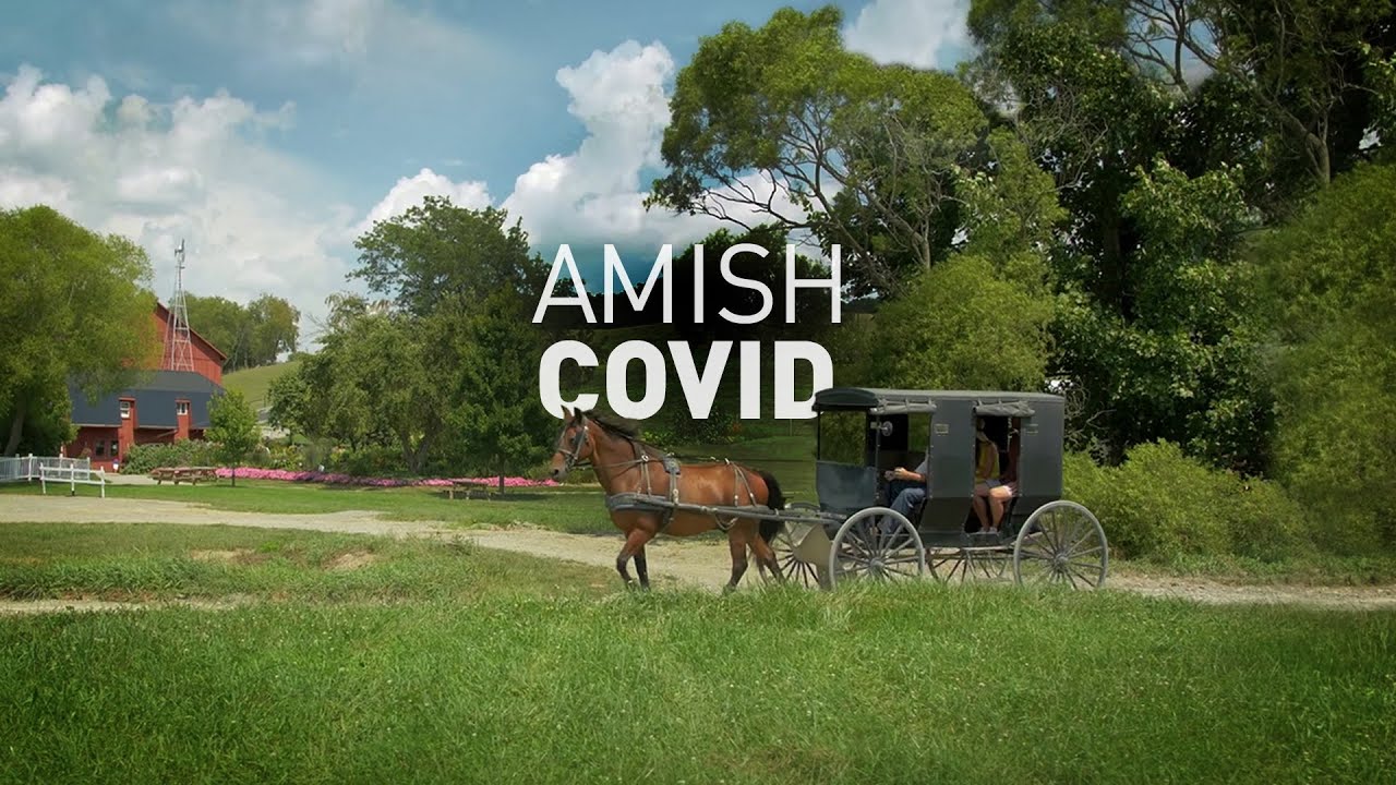 Did the Amish Achieve Herd Immunity Naturally? Challenging C…