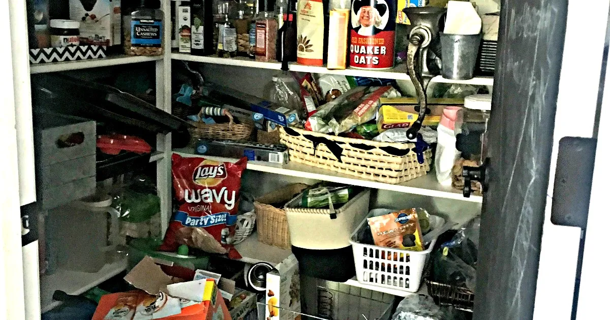 Are You Ready to Embrace Disaster? Survival Food Storage: A Guide to Embracing Chaos and Defying Expiration Dates