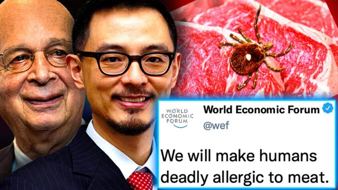 Is the World Economic Forum’s Meat-Free Vision a Recipe for Disaster?