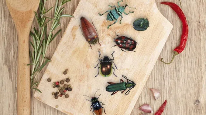Unveiling the Hidden Truth About Insects in Your Food: Prote…