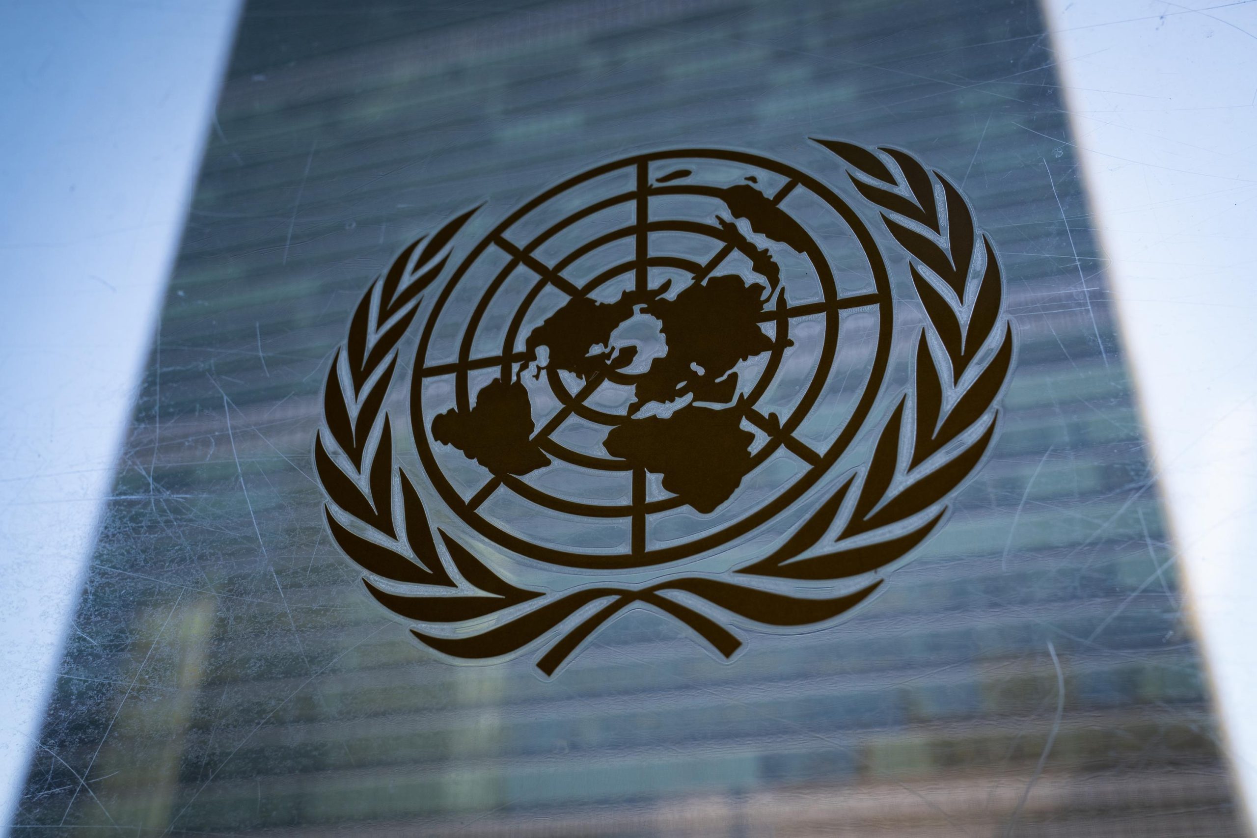 The United Nations’ Secret Agenda: Targeted Depopulation Measures and Global Control