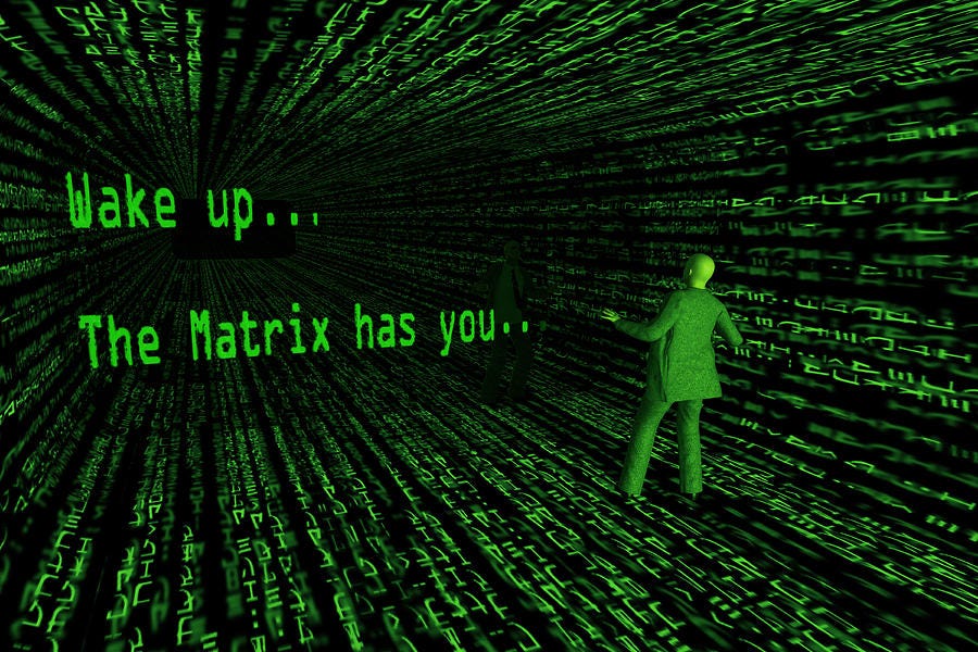 Are You Living in the Matrix?